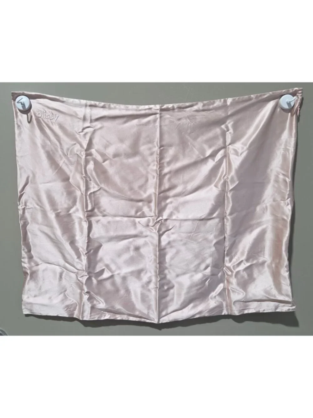 Blissy 22 Momme Mulberry Silk Queen Size Plum Colored Pillowcase 20